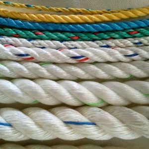 Dây phi cứu sinh nhiều loại